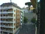 ...and a view of another country:  That's the Vatican Museum, behind the wall.