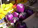 mammoth eggplants!